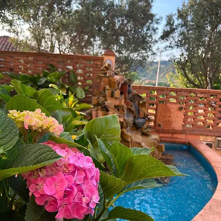 B&B Villa Maria - Settingiano di Martelletto-2